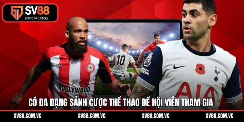 Có đa dạng sảnh cược thể thao để hội viên tham gia