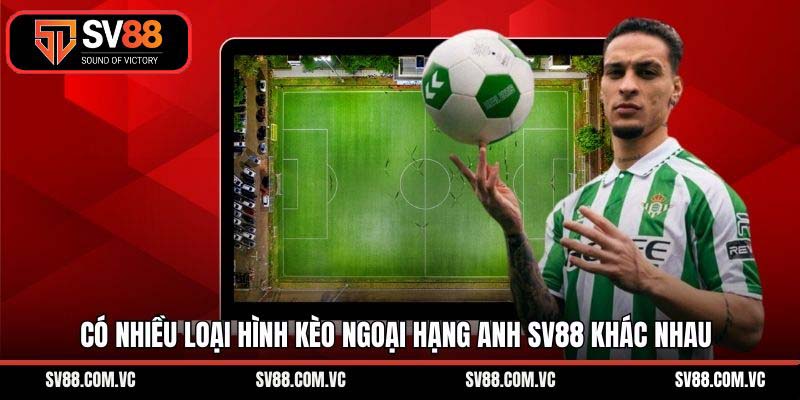 Có nhiều loại hình kèo ngoại hạng Anh SV88 khác nhau